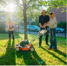 Groenvoorziening